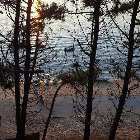 Bed & Breakfast Proche Dune Du 3*