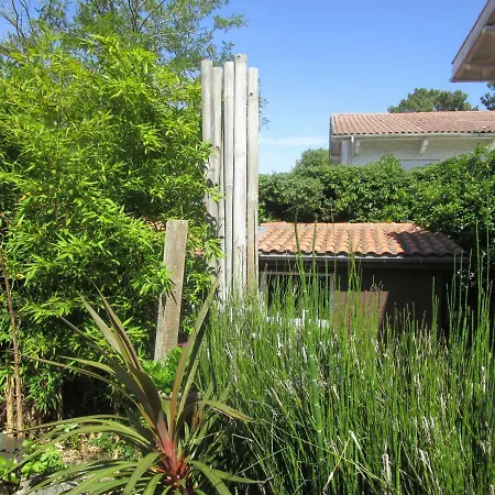 Bed & Breakfast Proche Dune Du